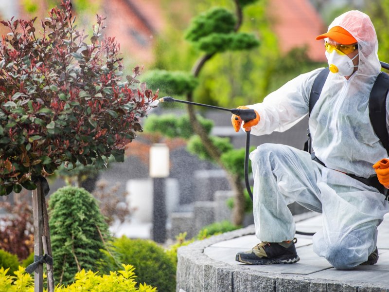 Kalecik Haşere İlaçlama